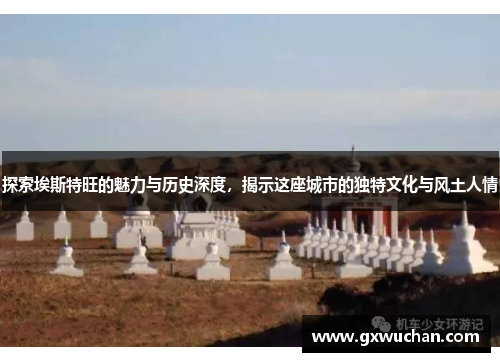 探索埃斯特旺的魅力与历史深度，揭示这座城市的独特文化与风土人情